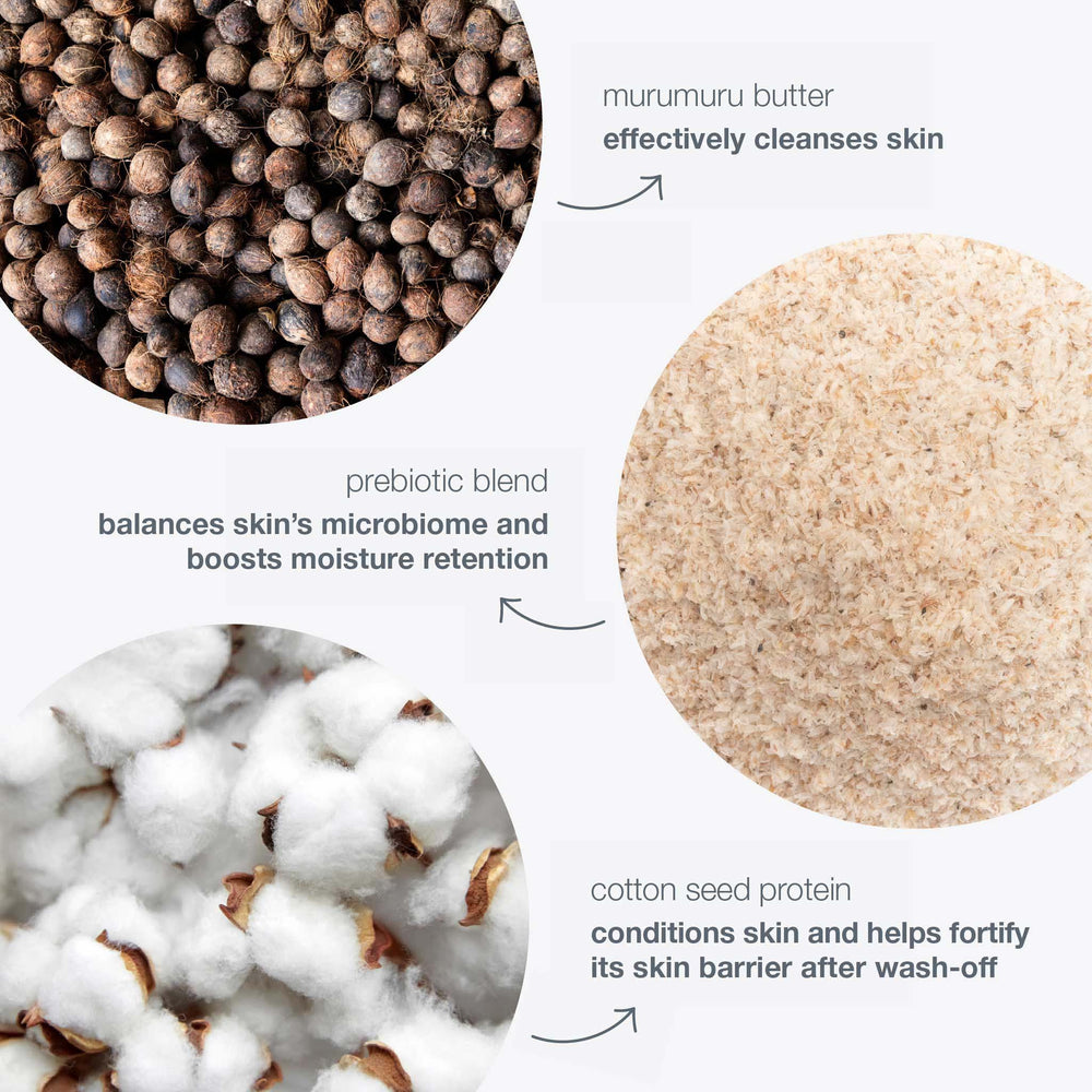 Ingredients used in dermalogica micellar prebiotic precleanse with close-up views and text labels.